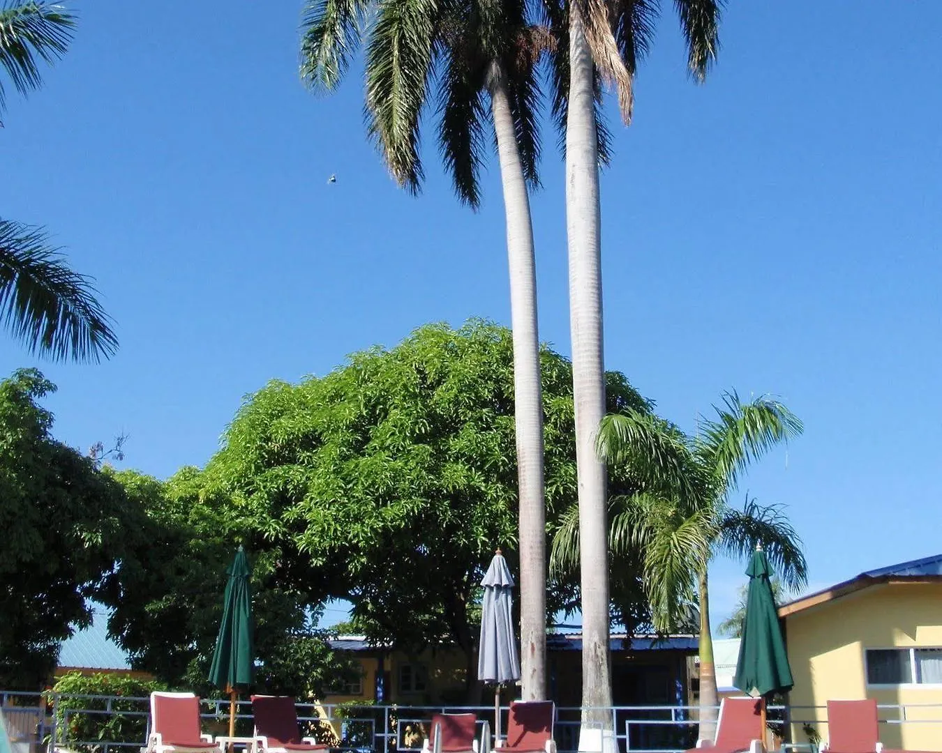 Toby'S Resort Montego Bay